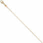 Preview: Weit-Ankerkette 585 Gelbgold 2 mm 45 cm Karabiner Gold Kette Halskette Goldkette
