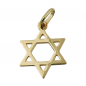 Preview: Anhänger 21x18mm David-Stern glänzend 9Kt GOLD