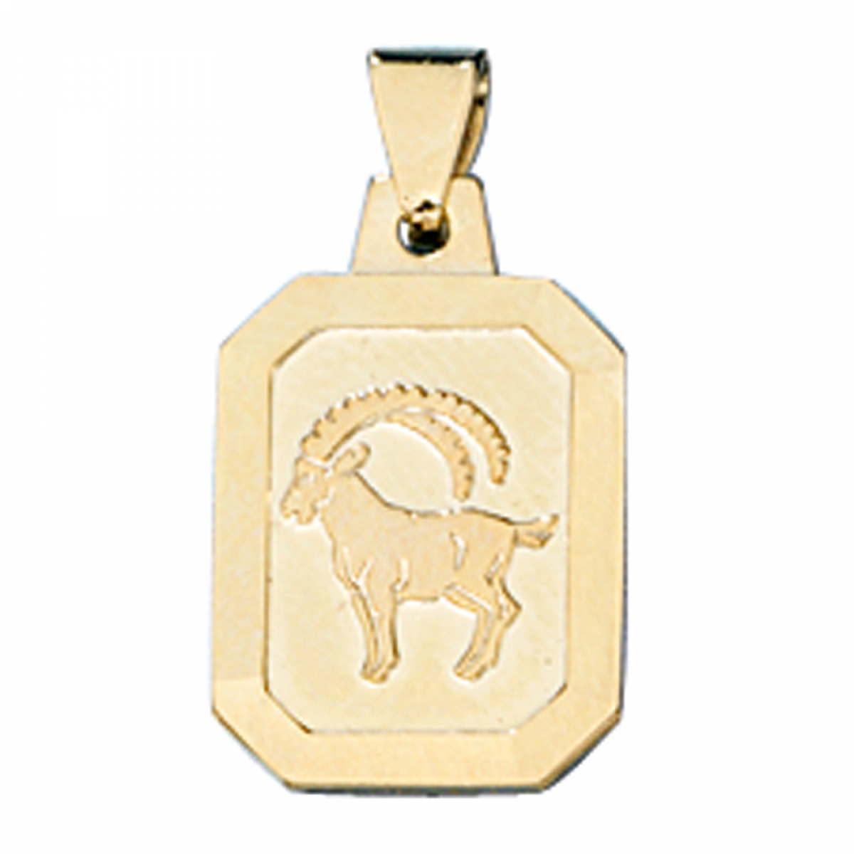 Anhänger Sternzeichen Steinbock 333 Gold Gelbgold matt Sternzeichenanhänger